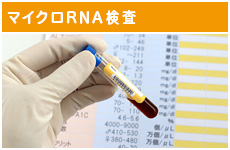 マイクロRNA検査（準備中）